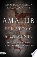 Libro Amalur