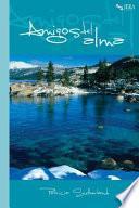 Libro Amigos del alma