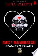 Libro AMOS Y MAZMORRAS XIII