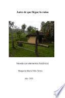 Libro Antes de que llegue la ruina