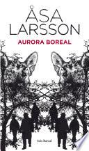 Libro Aurora boreal