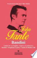 Libro Bandini