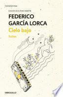 Libro Cielo bajo