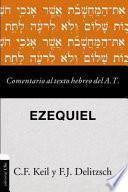 Libro Comentario Al Texto Hebreo Del Antiguo Testamento - Ezequiel
