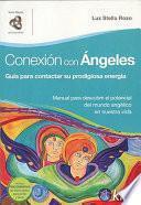 Libro Conexin con angeles