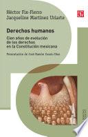 Libro Derechos humanos
