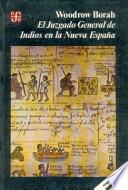 Libro El Juzgado General de Indios en la Nueva España