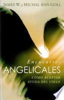 Libro Encuentros Angelicas