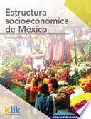 Libro Estructura socioeconómica de México