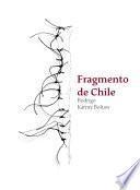 Libro Fragmento de Chile