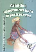 Libro Grandes Esperanzas Para La Postcosecha