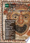 Libro Investigaciones Arqueológicas en Sisapo, Capital Del Cinabrio Hispano (i). la Decoración Musivaria de la Domus de Las Columnas Rojas (la Bienvenida, Almodóvar Del Campo-ciudad Real)