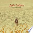 Libro Julio Gálvez y la piedra de Huamanga