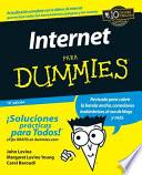 Libro La Internet Para Dummies