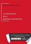 Libro La naturaleza de la hipoteca multidivisa.