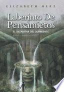 Libro Laberinto De Pensamietos
