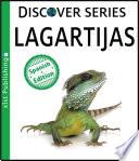 Libro Lagartijas