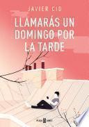 Libro Llamarás un domingo por la tarde