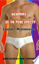 Libro Memorias de un pene erecto