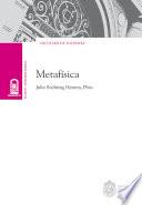 Libro Metafísica