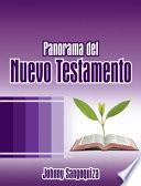 Libro Panorama Del Nuevo Testamento