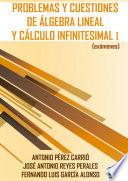 Libro Problemas y cuestiones de álgebra lineal y cálculo infinitesimal I (exámenes)