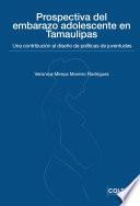 Libro Prospectiva del embarazo adolescente en Tamaulipas: una contribución al diseño de políticas de juventudes