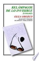 Libro Relámpagos de lo invisible