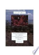 Libro Tecnologías prehispánicas de la obsidiana