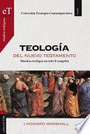 Libro Teologia del Nuevo Testamento