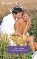 Libro Un destello en sus ojos