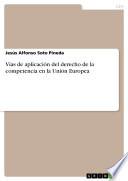 Libro Vías de aplicación del derecho de la competencia en la Unión Europea